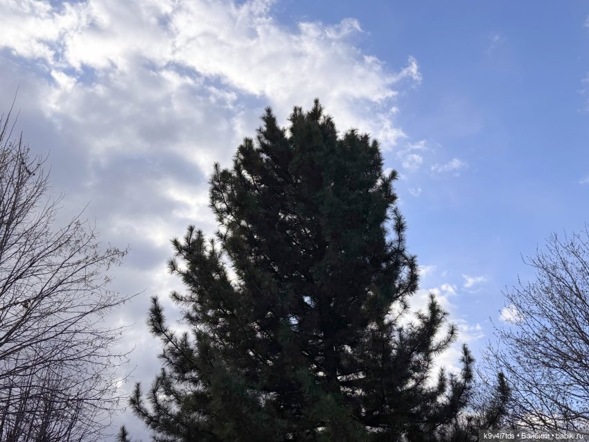 Прогулка Лоло и Мишки — Авторские куклы BJD (БЖД) у нас дома: фото