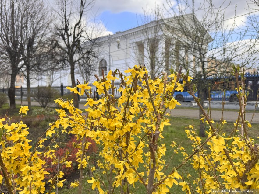 Прогулка Лоло и Мишки — Авторские куклы BJD (БЖД) у нас дома: фото