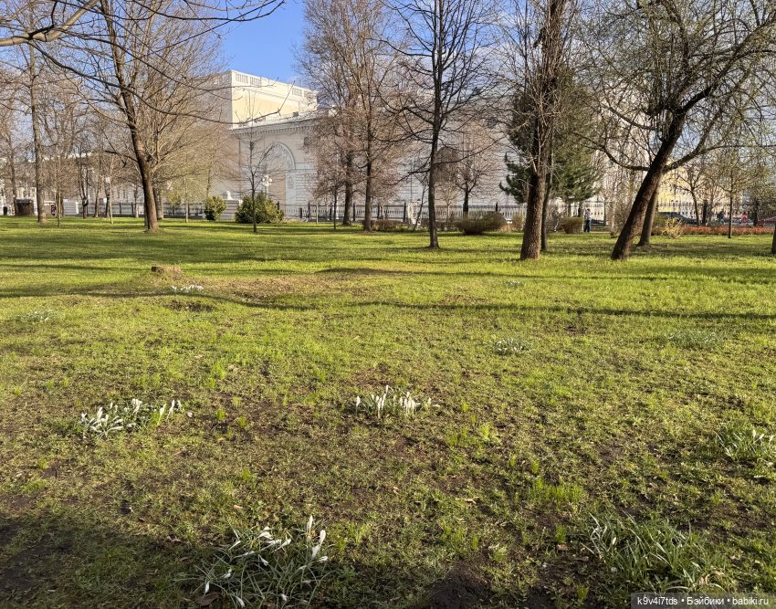 Прогулка Лоло и Мишки — Авторские куклы BJD (БЖД) у нас дома: фото