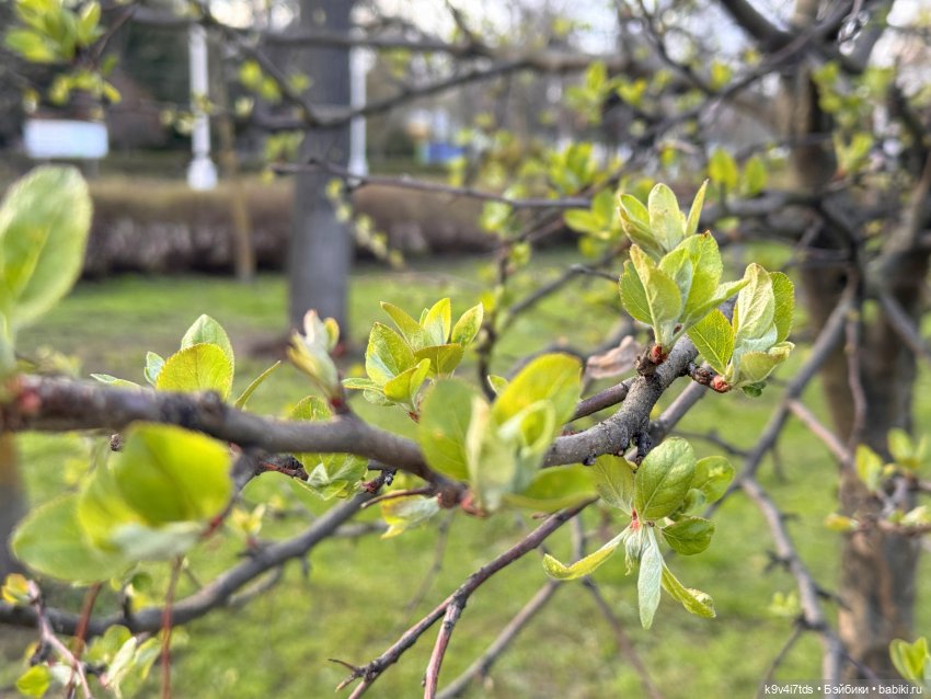 Прогулка Лоло и Мишки — Авторские куклы BJD (БЖД) у нас дома: фото