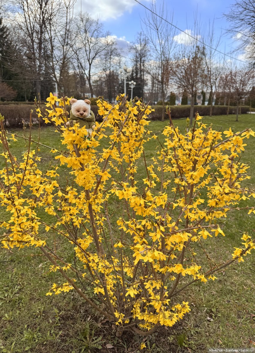 Прогулка Лоло и Мишки — Авторские куклы BJD (БЖД) у нас дома: фото