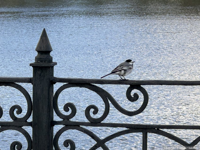 Прогулка Лоло и Мишки — Авторские куклы BJD (БЖД) у нас дома: фото