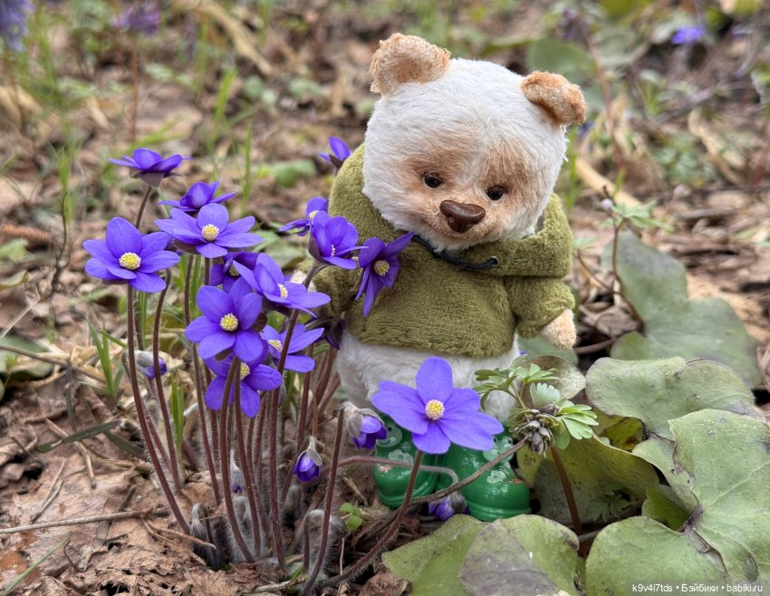 Время "синих подснежников"