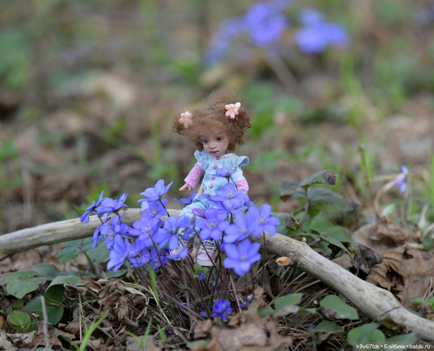 Время "синих подснежников"