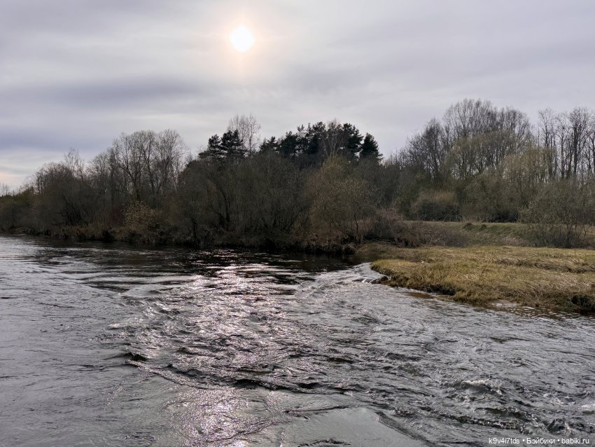 Время "синих подснежников"