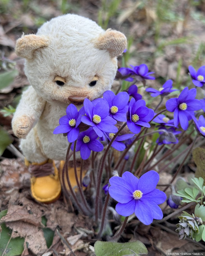 Время "синих подснежников"