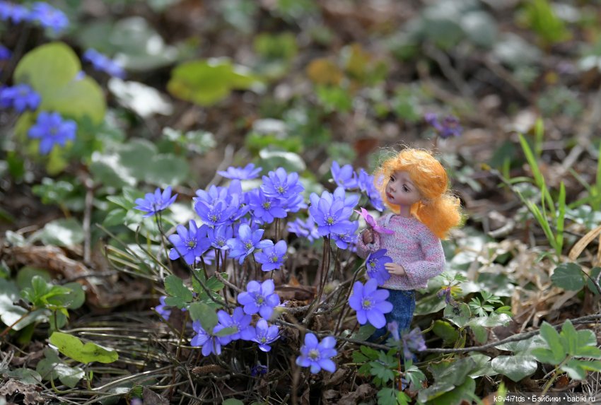 Время "синих подснежников"