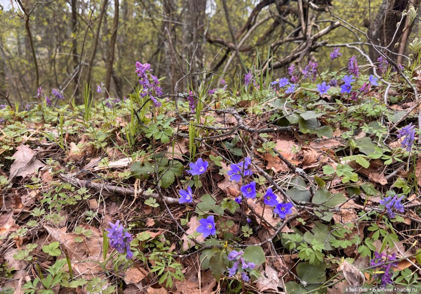 У природы нет плохой погоды