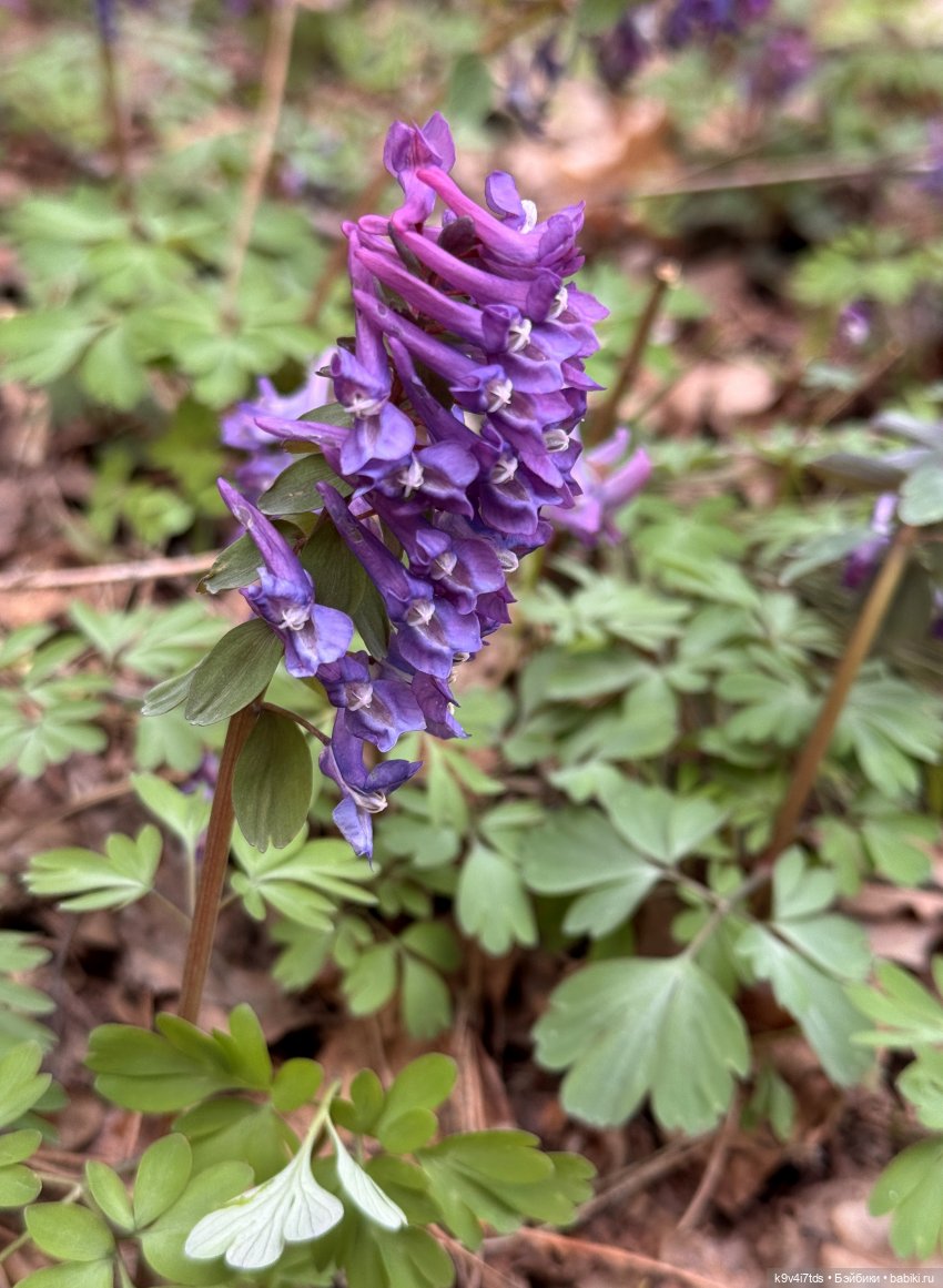У природы нет плохой погоды