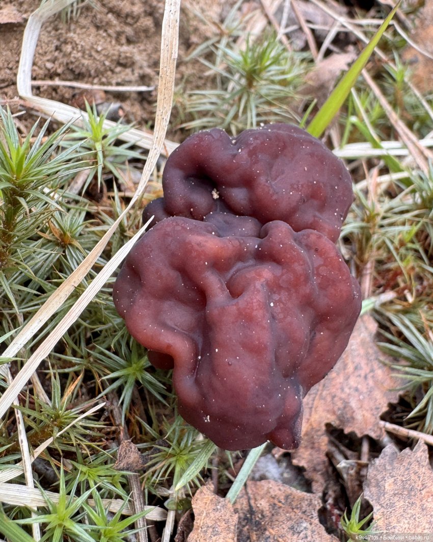 У природы нет плохой погоды