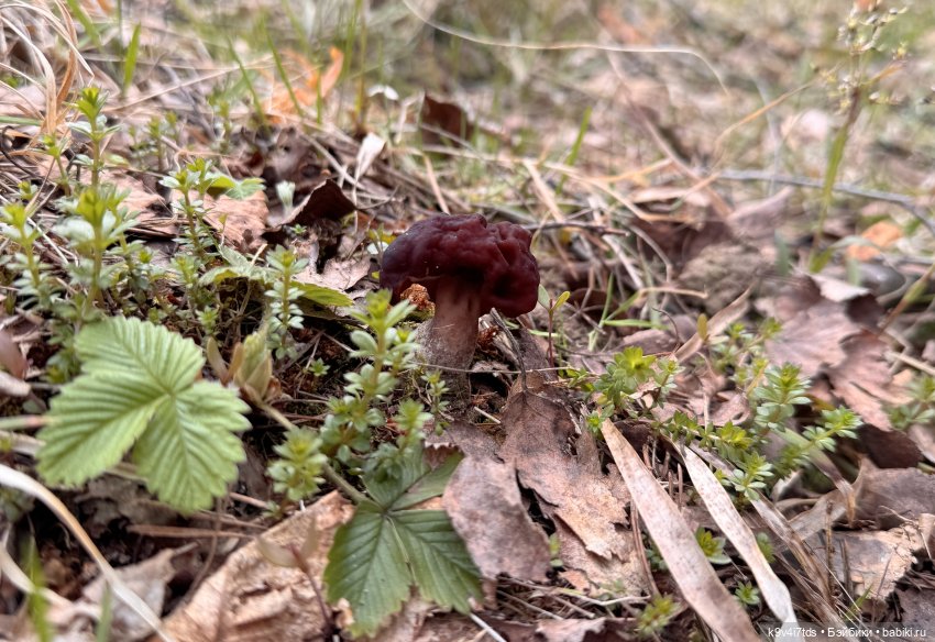 У природы нет плохой погоды (фото 6)