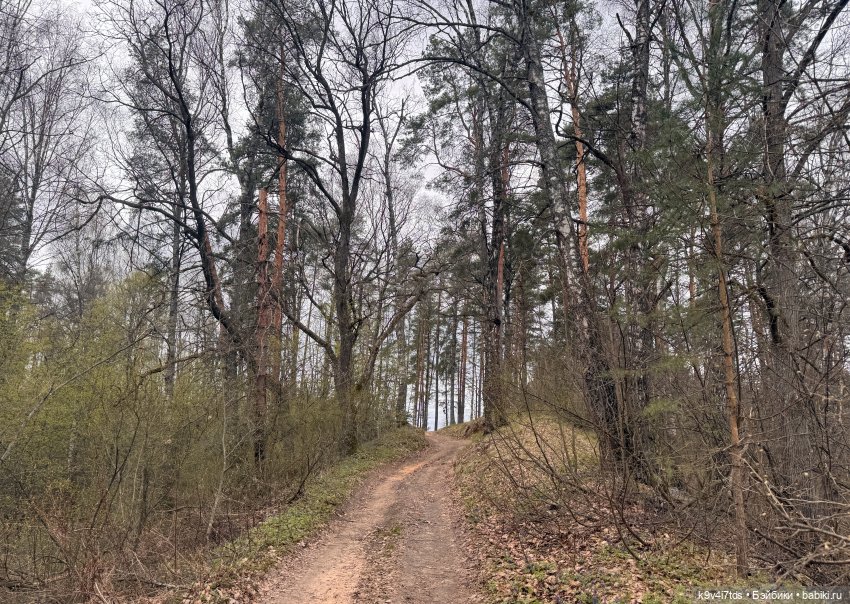 У природы нет плохой погоды