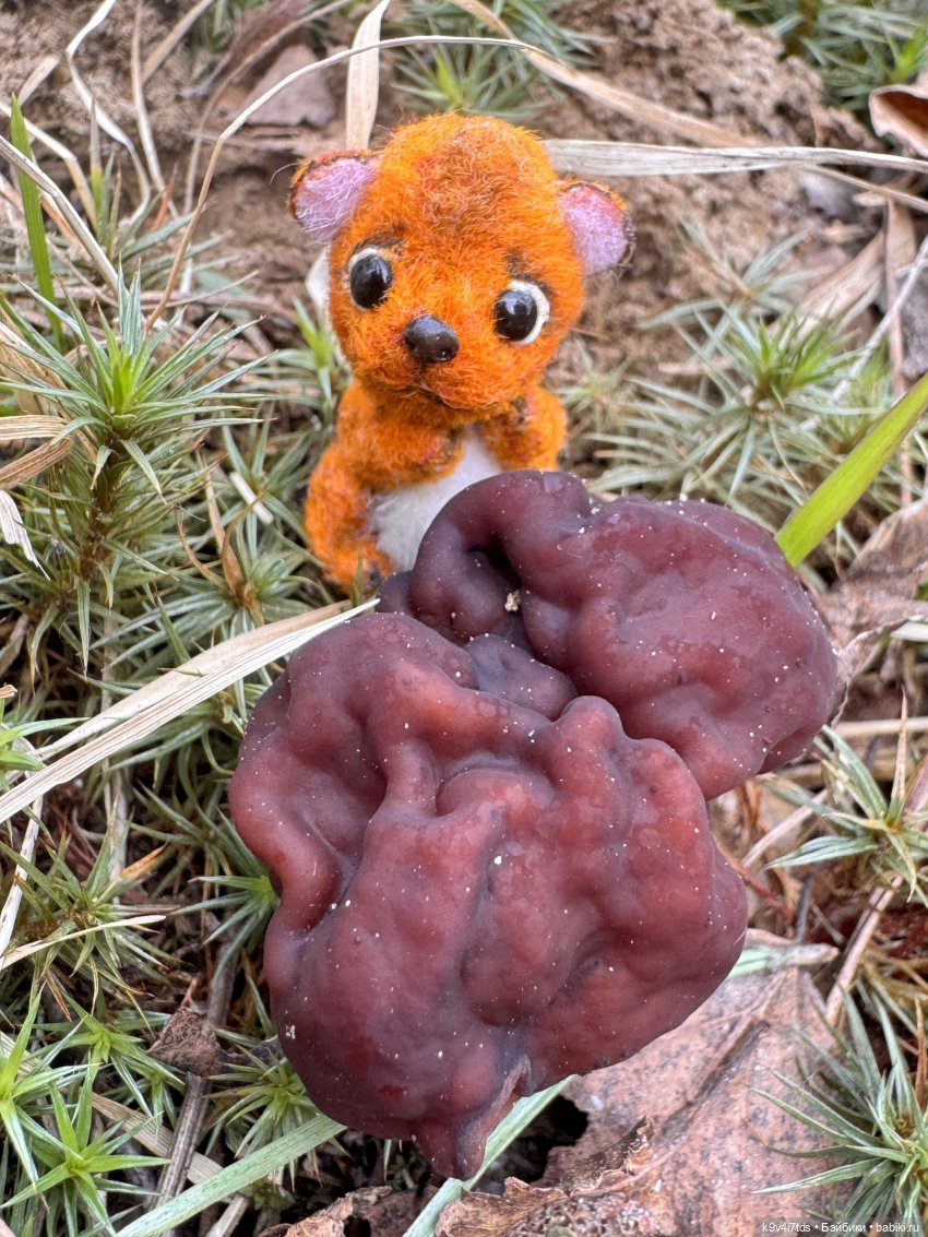 У природы нет плохой погоды