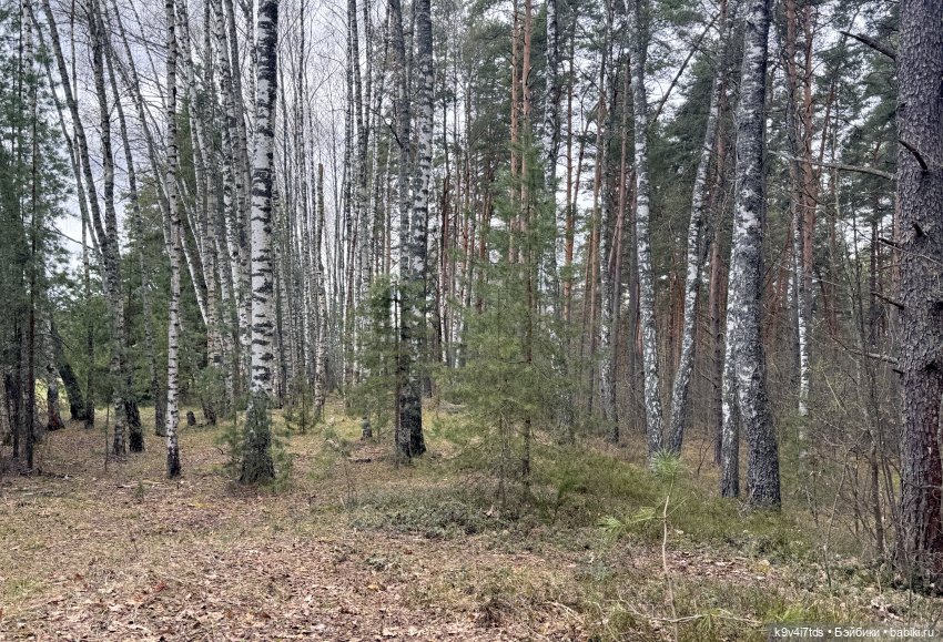 У природы нет плохой погоды (фото 7)