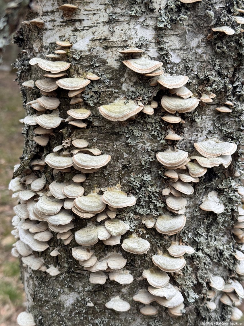 У природы нет плохой погоды