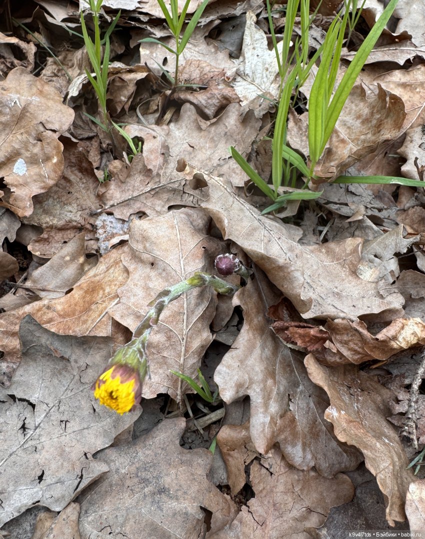 У природы нет плохой погоды