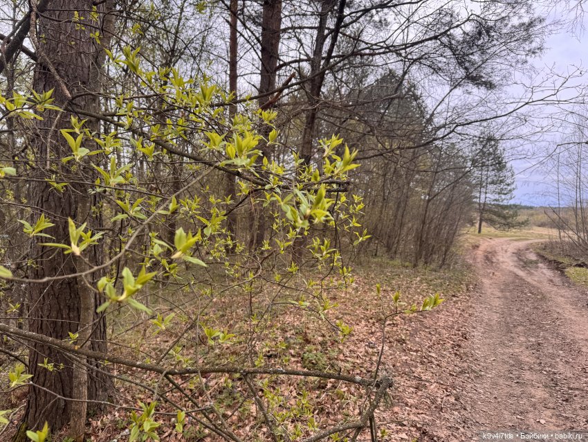 У природы нет плохой погоды