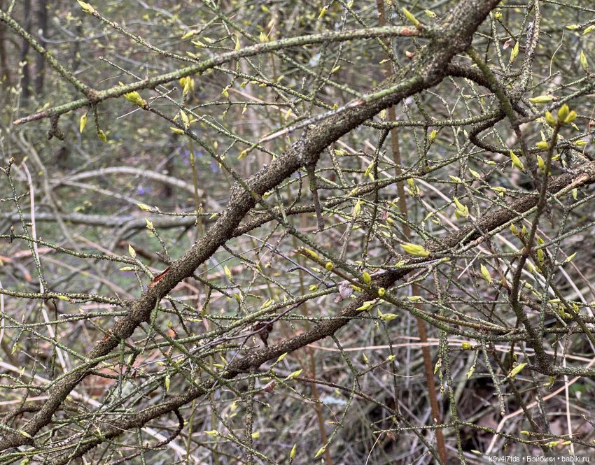 У природы нет плохой погоды