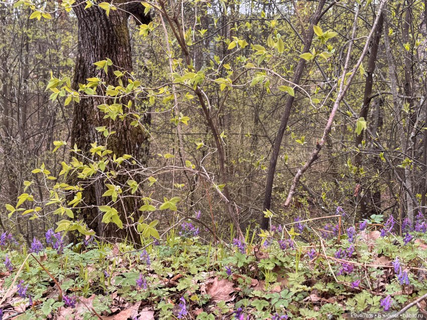 У природы нет плохой погоды