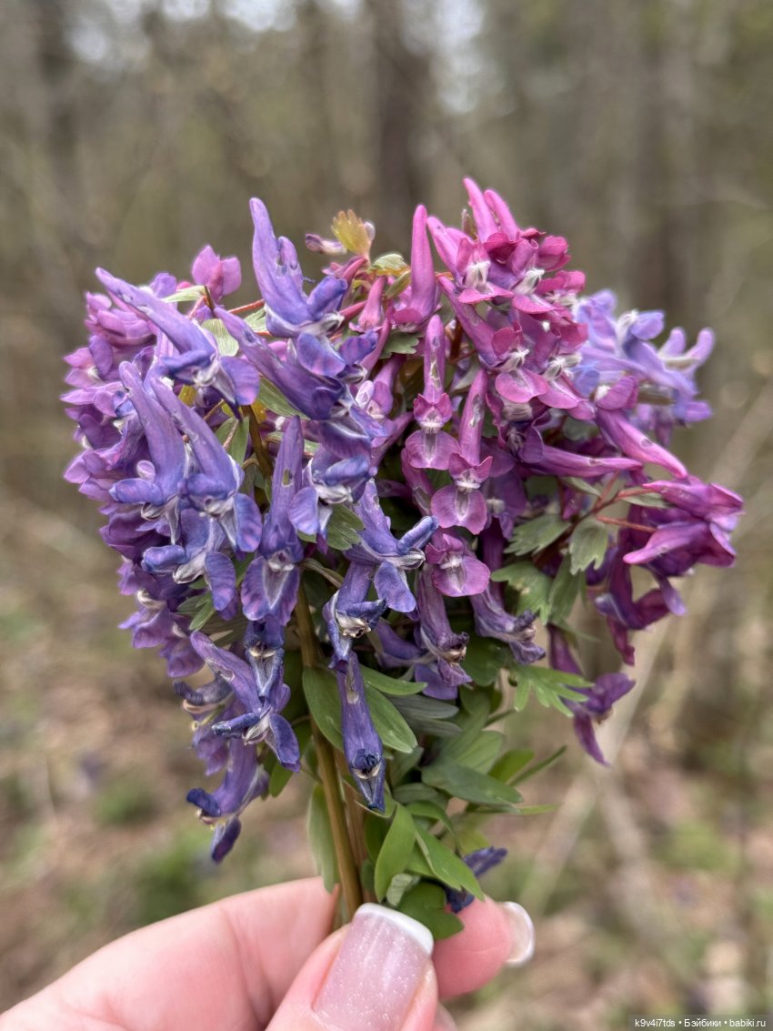 У природы нет плохой погоды