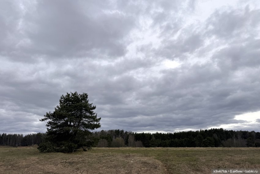 У природы нет плохой погоды