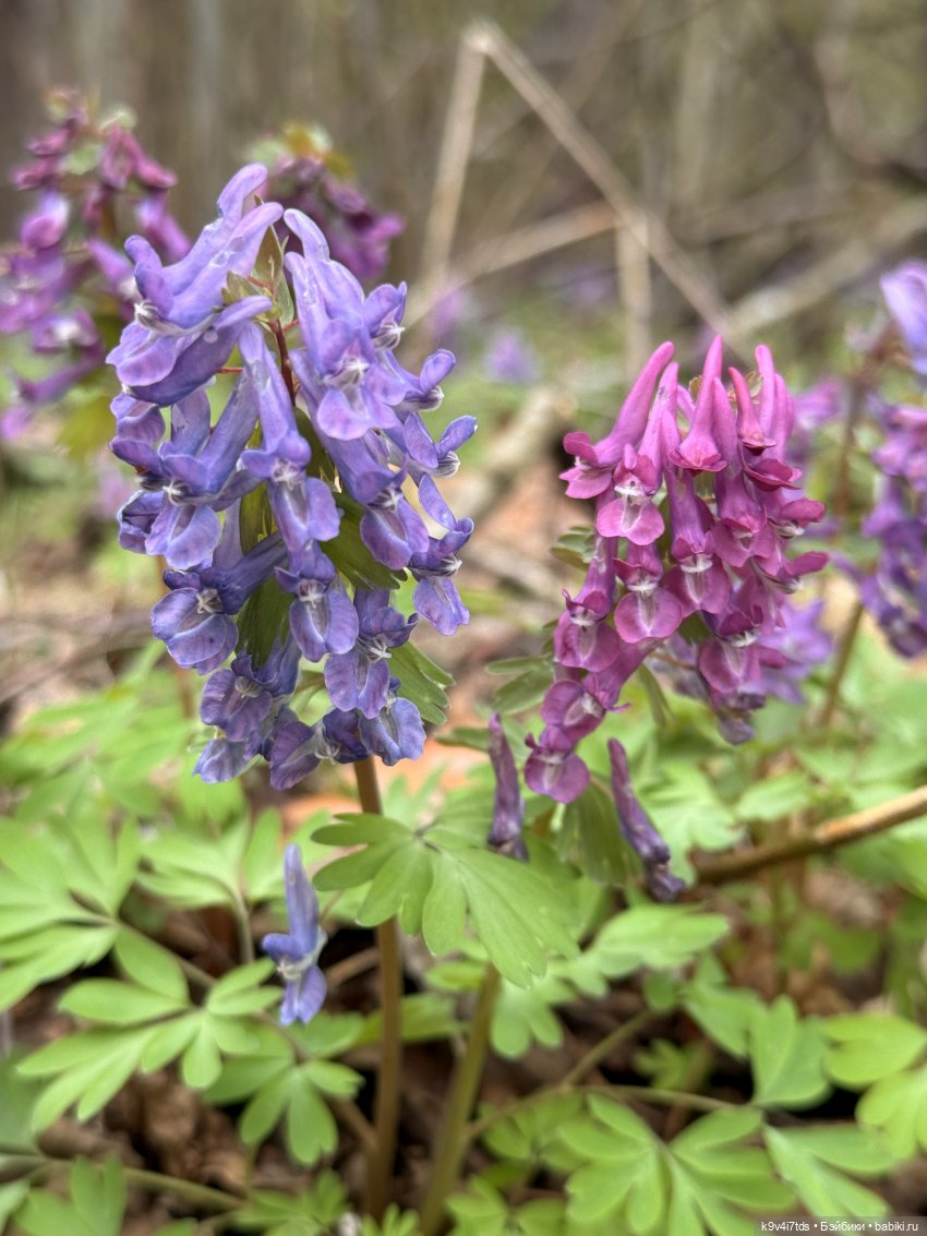 У природы нет плохой погоды