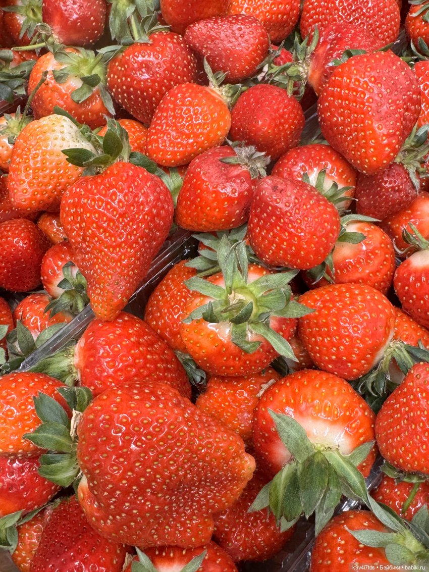 Мишки в Москве — Домашние фото авторских игрушек: Тедди