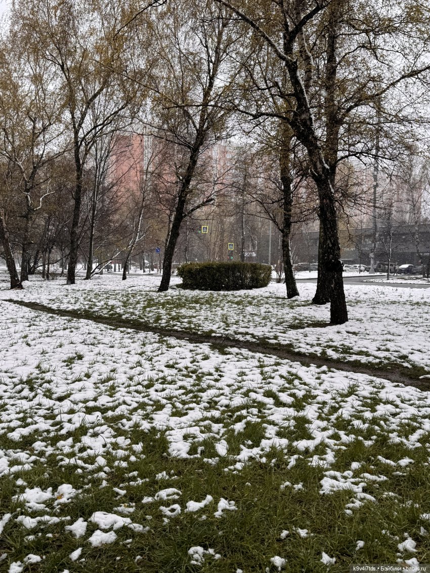 Мишки в Москве — Домашние фото авторских игрушек: Тедди