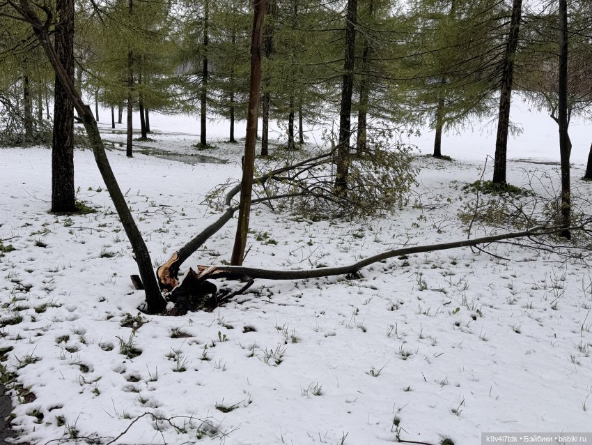 Мишки в Москве — Домашние фото авторских игрушек: Тедди (фото 10)