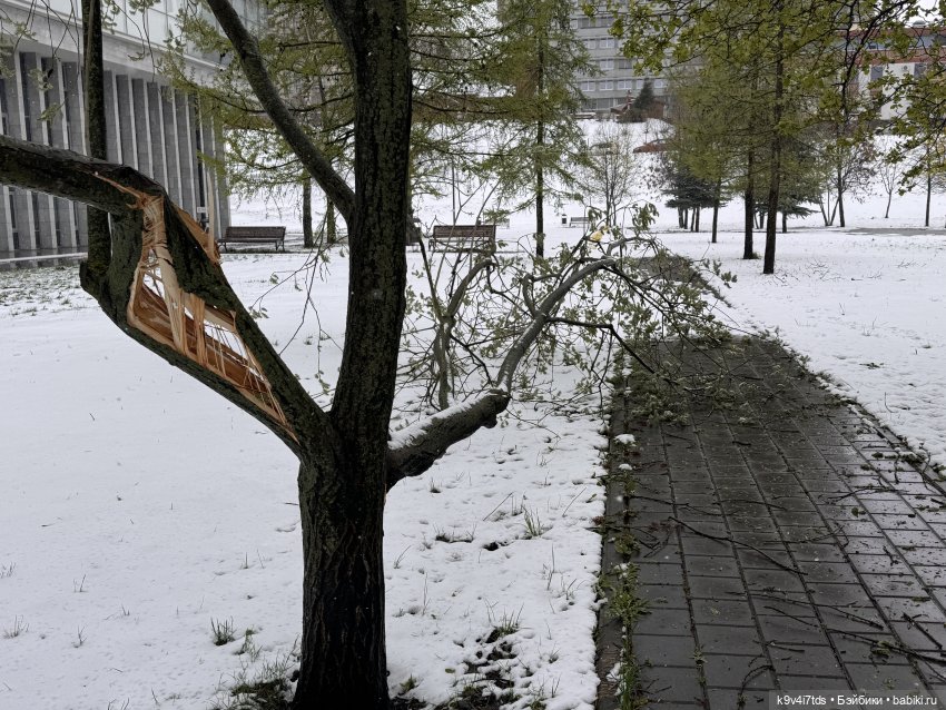 Мишки в Москве — Домашние фото авторских игрушек: Тедди