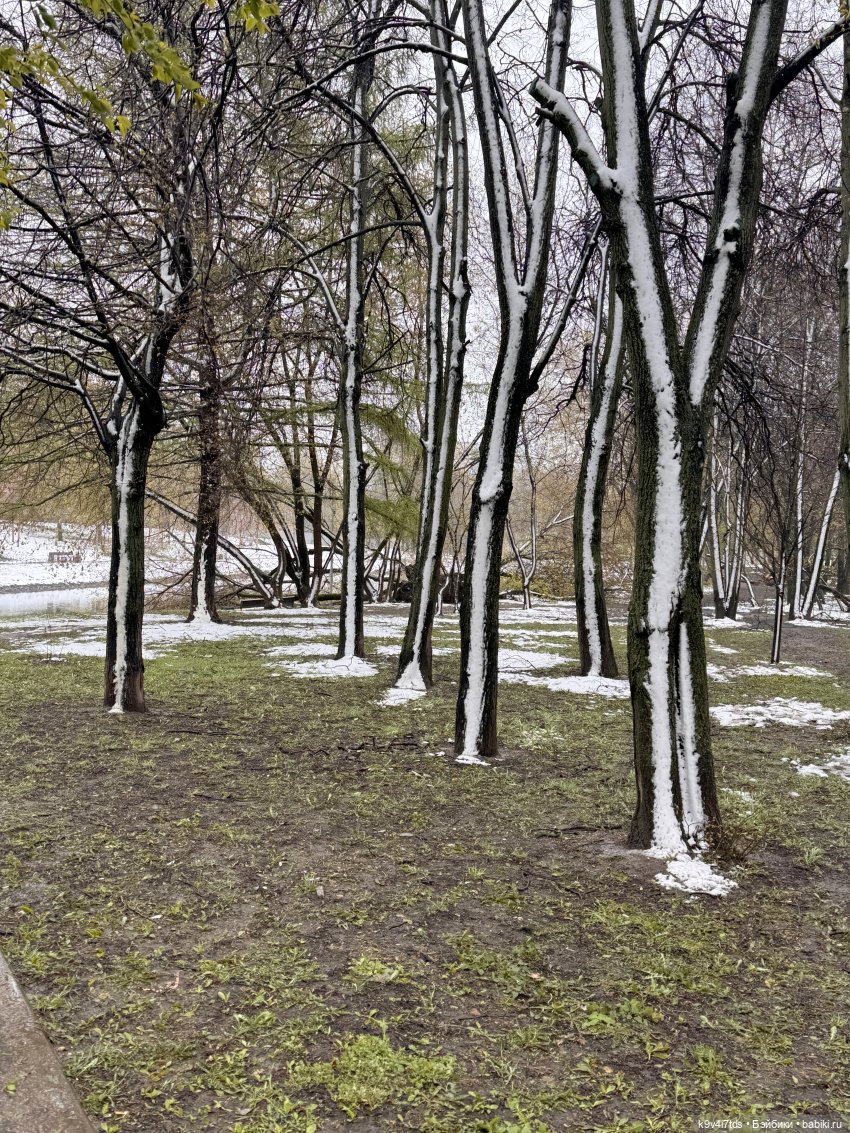 Мишки в Москве — Домашние фото авторских игрушек: Тедди