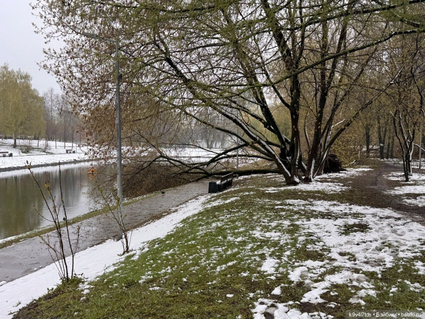 Мишки в Москве — Домашние фото авторских игрушек: Тедди