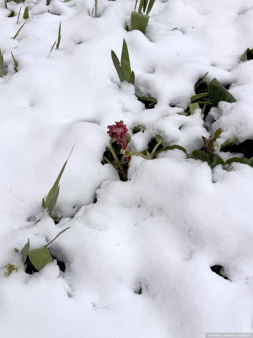 Мишки в Москве — Домашние фото авторских игрушек: Тедди