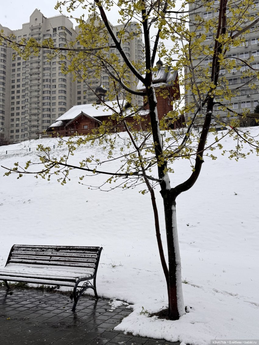 Мишки в Москве — Домашние фото авторских игрушек: Тедди