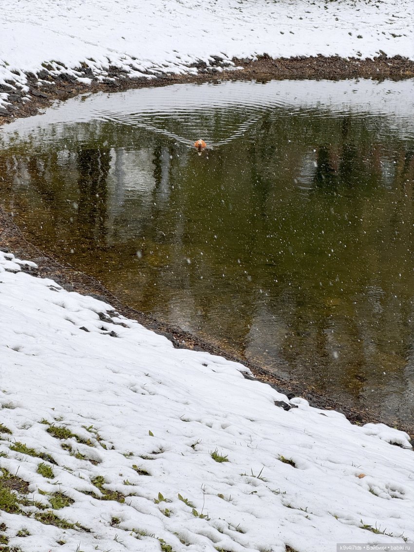 Мишки в Москве — Домашние фото авторских игрушек: Тедди