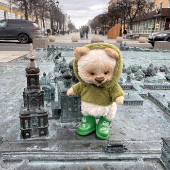 Мишка в Твери