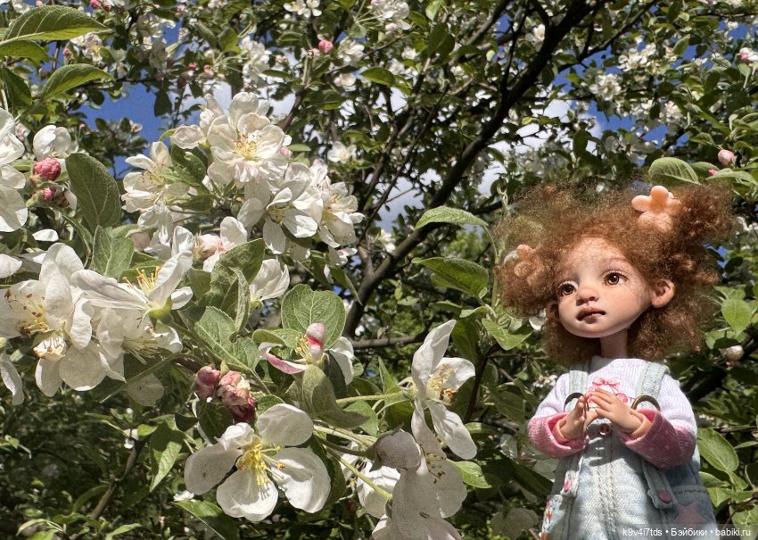 Лоло и цветущая Тверь — Авторские куклы BJD (БЖД) у нас дома: фото
