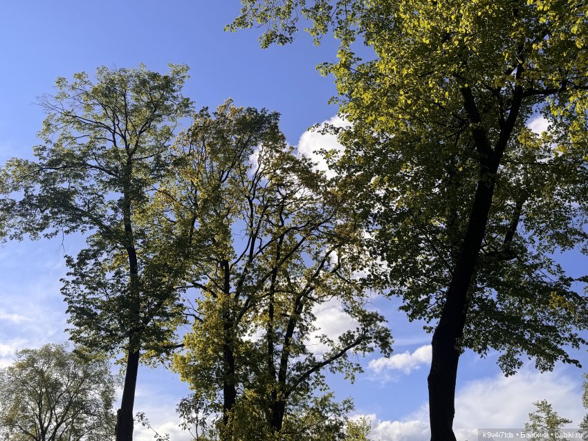 Лоло и цветущая Тверь, продолжение