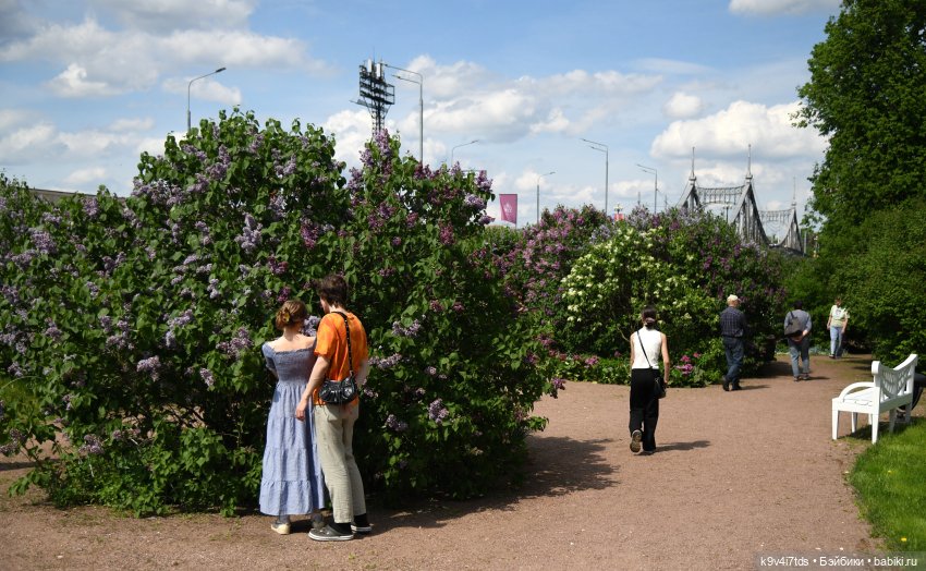 Майская прогулка с Жу — Авторские куклы BJD (БЖД) у нас дома: фото
