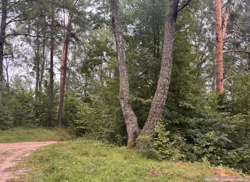 Погода бывает разная, но природа всегда прекрасная