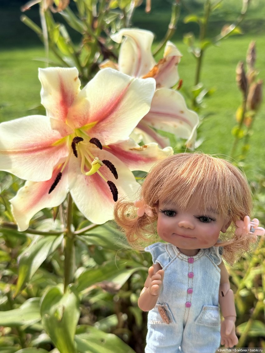 Путешествие в Старицу — Куклы Meadow dolls (Медовушки): BJD (БЖД)