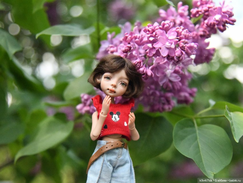 Жу Фея — Авторские куклы BJD (БЖД) у нас дома: фото