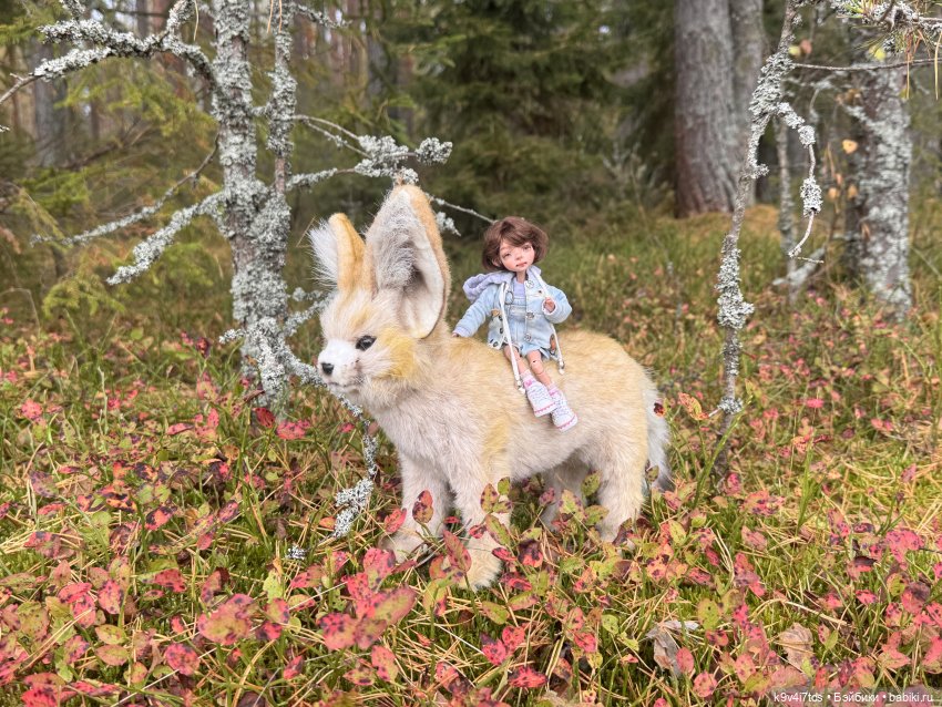 Навстречу Радуге — Авторские куклы BJD (БЖД) у нас дома: фото (фото 10)