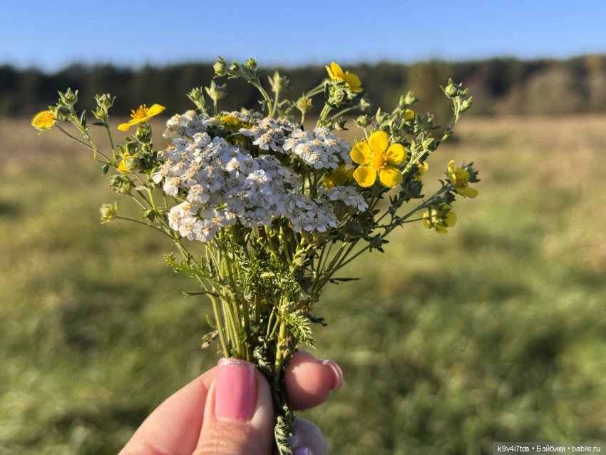 Джеральдин на Тьме — Куклы Heidi Plusczok (Хайди/Хейди Плюсчок) — фото