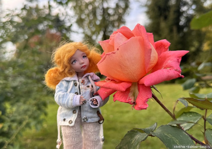 Осень в розах — Авторские куклы BJD (БЖД) у нас дома: фото (фото 5)