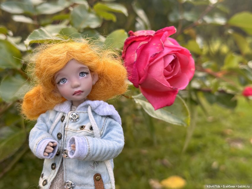 Осень в розах — Авторские куклы BJD (БЖД) у нас дома: фото (фото 8)