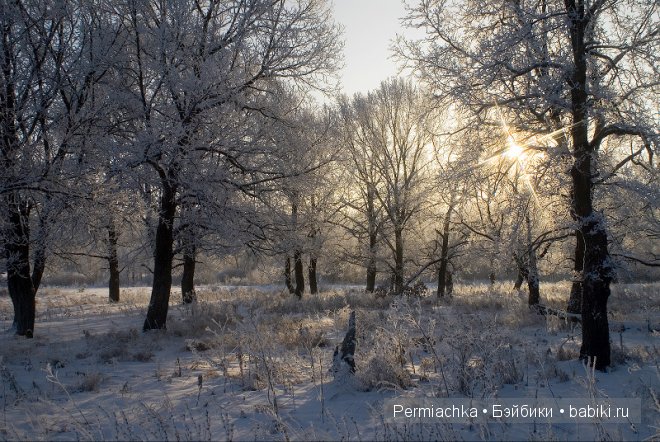 Я давно не верю снам изменчивым... или первый блин совсем не комом. Валенки для куклы | Бэйбики Я давно не верю снам изменчивым... или первый блин совсем не комом. Валенки для куклы
