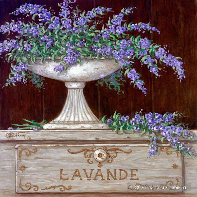 d56337 жанет крускамп картины по номерам