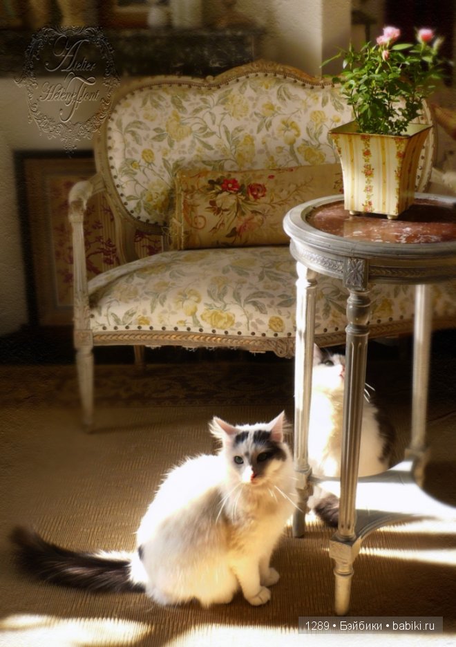 Домик на самой окраине... В гостях у художника Helene Flont (фото 6)