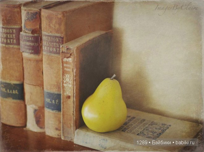 Нежное обаяние фотографий Клер Брокато (Claire Brocato) (фото 6)